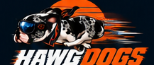 Hawg Dogs